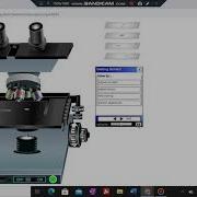Guide To Use The Compound Light Microscope In Virtual Lab