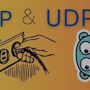 80 Golang Master TCP UDP Sockets Complete Guide