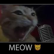 Котяра нереально исполнил душевную песню I CARELESS WHISPER MEOW VERSION