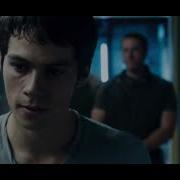 Maze Runner Story Trilogy Disturbia