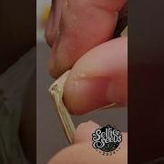 HACK For Hang Drying Cannabis Buds To The PERFECT Moisture Levels