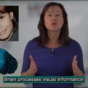 Difficulties In Learning Visual Processing