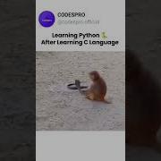 Learn Python After Learning C Language Python C Programming Coding Development Memes