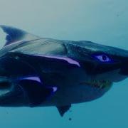 Maneater Maxed Out Shadow Evolution MEGA