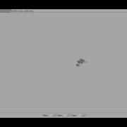 L System