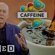 How Caffeine Addiction Changed History Ft Michael Pollan WIRED