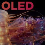 Jellyfish 4K OLED LG TEST TV HDR Hologram Screensaver Infinite Amoled Loop