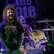 Internal Rot 2022 11 20 The Tote