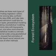Review On Carbon Storage Estimation Of Forest Ecosystem And Applications In China