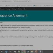Multiple Sequence Alignment