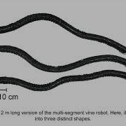 A Multi Segment Soft Growing Robot With Selective Steering