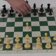 Club Style Regulation Chess Set Combo