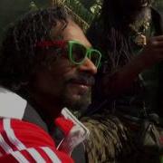 Snoop Lion Ft Rita Ora Torn Apart Audio Lyrics