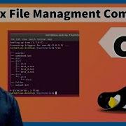 CD Command In Hindi Linux Directory Command Linux Command Class 1