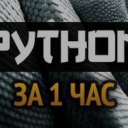 Учим Python за 1 час От Профессионала