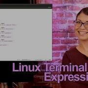 Expressions In Shell Scripts Linux Terminal 201 HakTip 183