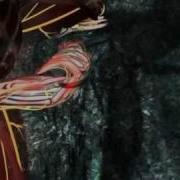 Fight Masters Silat The Karambit