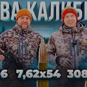Какой нарезной КАЛИБР выбрать для ОХОТЫ Тест 7 62х54 308win 30 06 Битва титанов