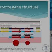 Bioinformatics For Plant And Animal Sciences Lecture 3 Part 3