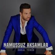 Namussuz Akşamlar Nilüfer Cover