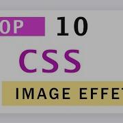 Top 10 CSS Image Hover Animation Effects 2021 Pure CSS Image Effects Animation On Hover Examples