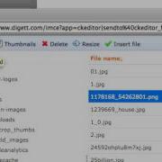 How To Upload A Document As A Link On Your Drupal Website