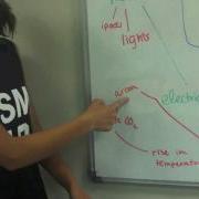 Feedback Loops And Leverage Points M4v