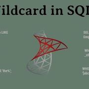 Wildcards In SQL