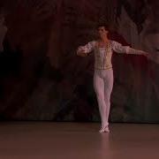 Vladimir Shklyarov Variation Of The Nutcracker Prince Act 2