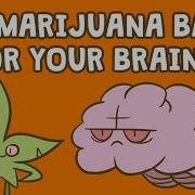 Is Marijuana Bad For Your Brain Anees Bahji
