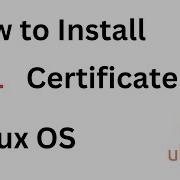 How To Install SSL Certificate In Apache Linux Ubuntu Server