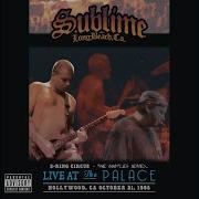 Don T Push Live At The Palace 1995