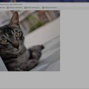 Advanced Image Slider In HTML With The Help Of JQuery And CSS