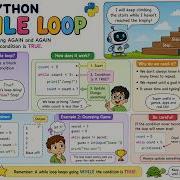 17 Python While Loop