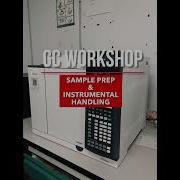GC Workshop Sample Preparation And Instrumental Handling