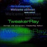 How To Destroy Angels Strings And Attractors TweakerRay ReMix