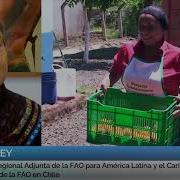 Saludo Día De La Mujer Indígena 2020 Eve Crowley Representante De FAO Chile