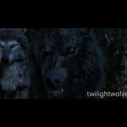 Twilight Wolves Centuries