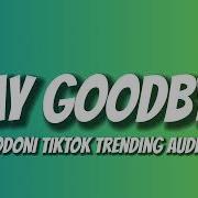 Lodoni Say Goodbye Trending Audio