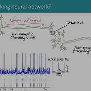 Cosyne 2022 Tutorial On Spiking Neural Networks Part 1 2