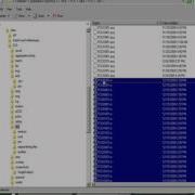 Timing File Preparation And Value Export In ANSLAB