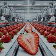 Inside A Modern Strawberry Jam Factory From Fresh Strawberries To Gourmet Preserves Full Process