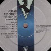 Human Resource Dominator Frank De Wulf 1 Mix