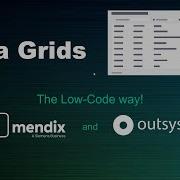 DataGrids The Low Code Way