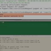 Puppet Master Agent Configuration Puppetlabs
