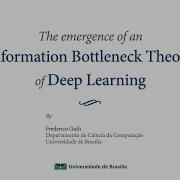 The Emergence Of An Information Bottleneck Theory Of Deep Learning Master S Dissertation Defence