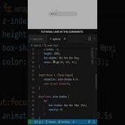 Animated Focus Input Field Using CSS Only Css