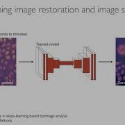 Automating Machine Learning Segmentation And Restoration In ImageJ Fiji