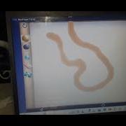 We Play LiquidFun Paint Liquidfunpaint Erikamendoza6007 Fungame Google