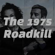 가사해석 KOR SUB 매티 고생 많았네 The 1975 Roadkill
